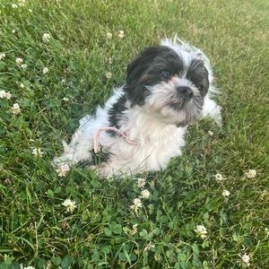 Meet your Posher, Isabela